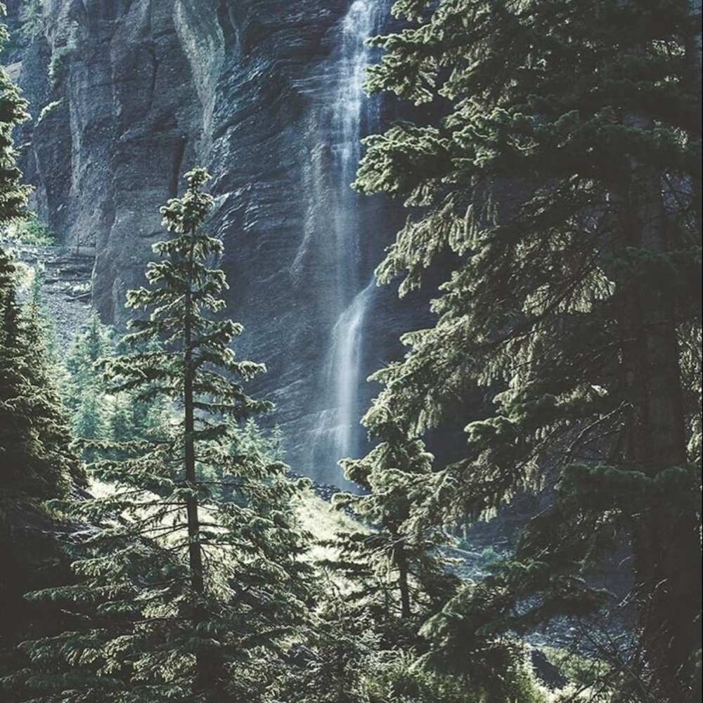 Meet your Posher, Courtney